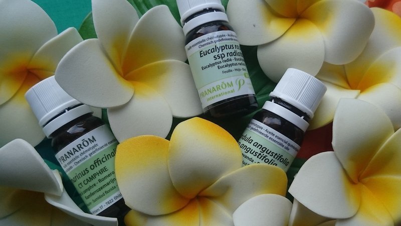 メディカルアロマ・ペットセルフケアセラピスト講師育成講座