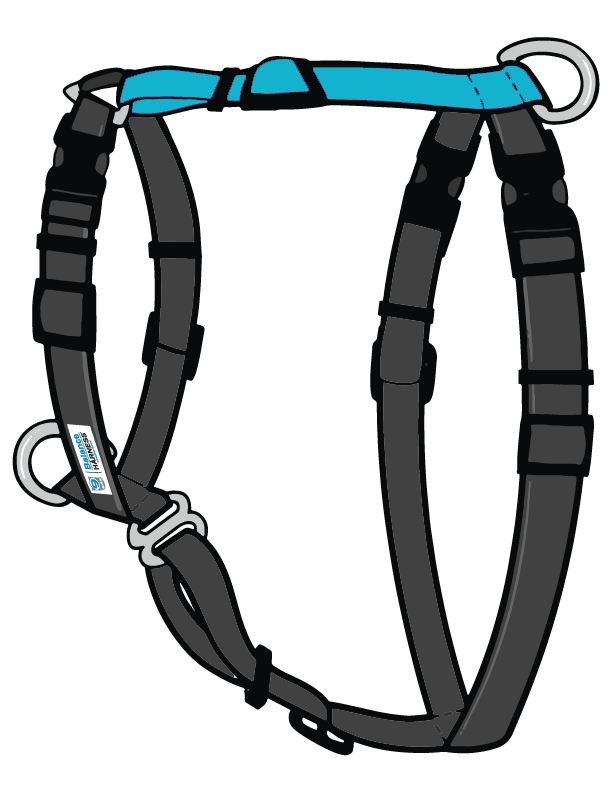 バランスハーネス-Sサイズ