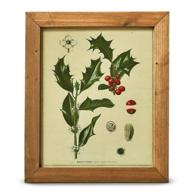 Holly Berry Vintage Botanical Wall Art