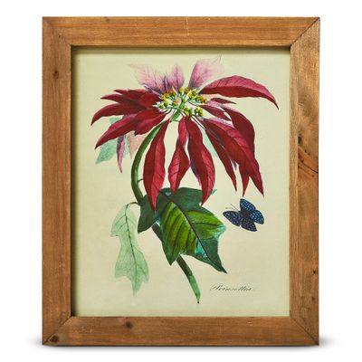Vintage Poinsettia Botanical Wall Art