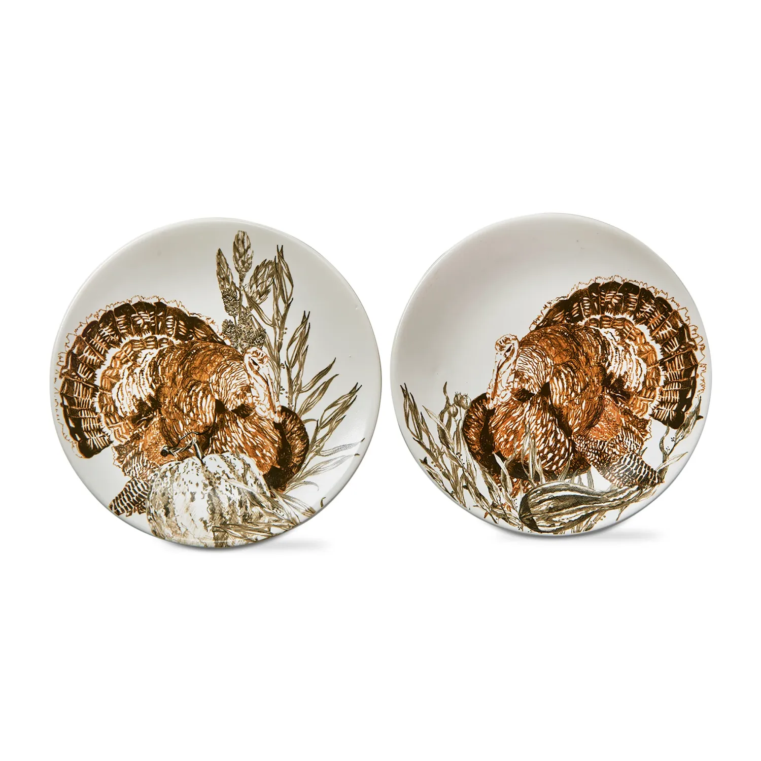 Turkey Plates | Pair | Fall &amp; Thanksgiving Plates