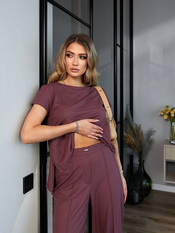 Брючний жіночий костюм бордовий літній комплект двійка