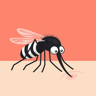 Insect protection and prevention