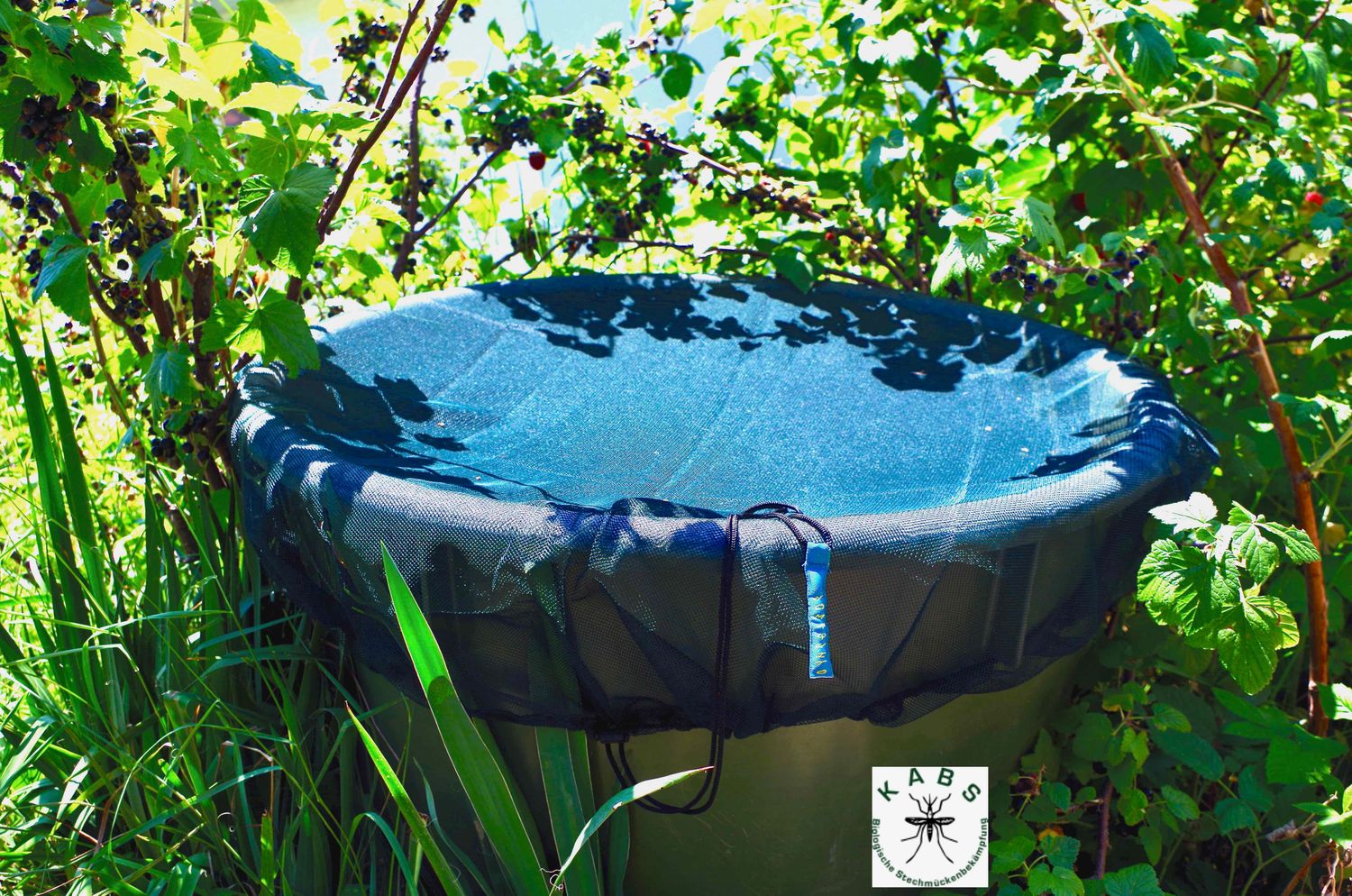 Cover for Rain Barrels