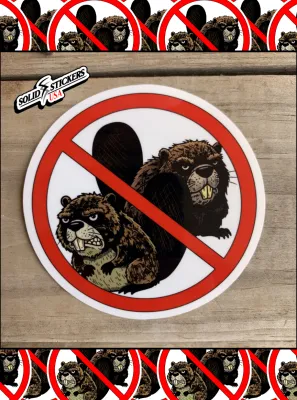 No Ugly Beavers Vinyl Sticker displayed on a wooden table