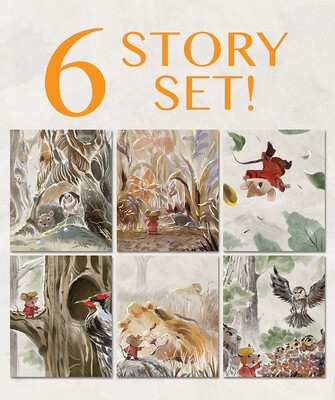 6 Story Set (13-18) SAVE 15%!