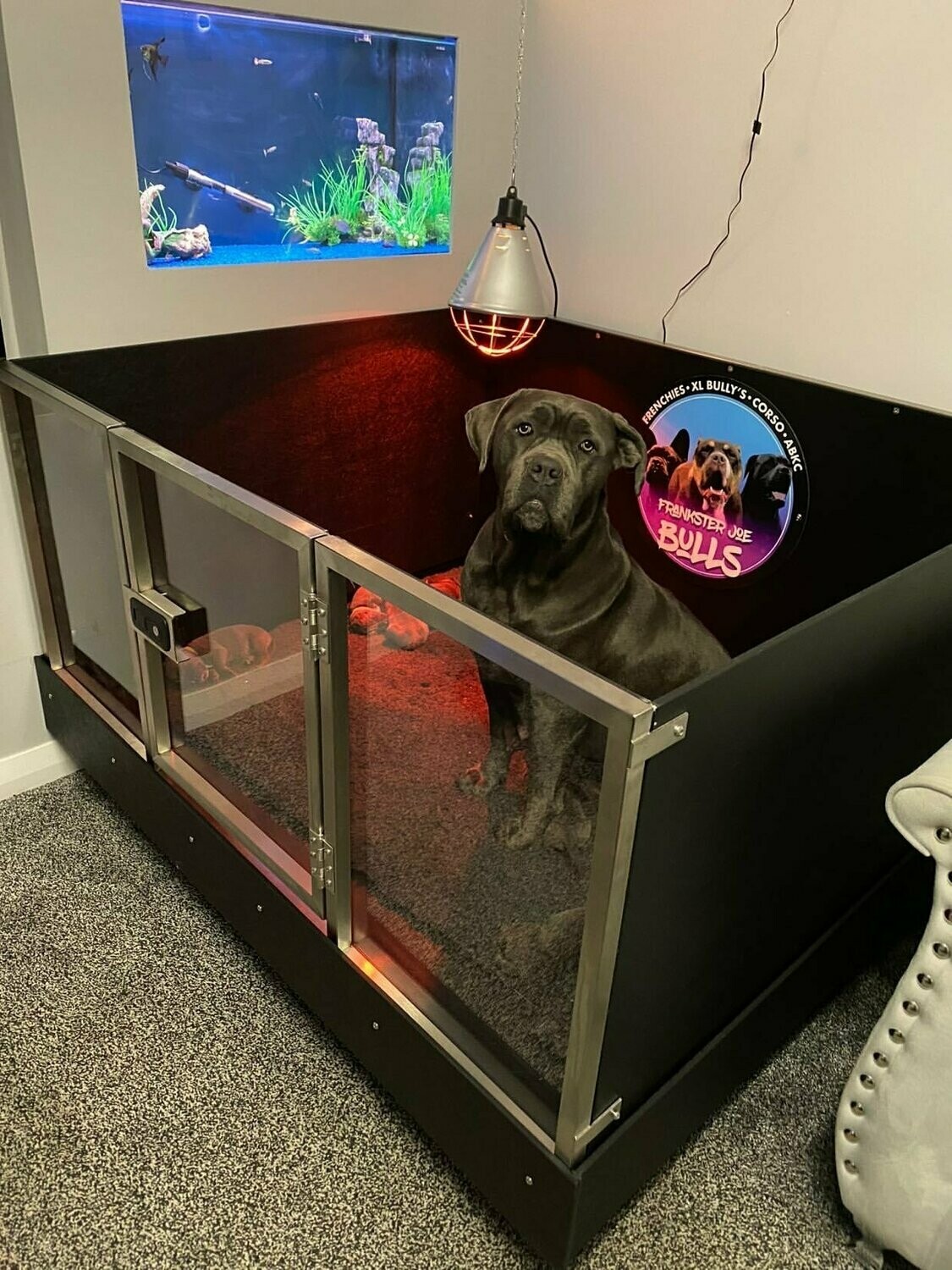 Whelping Boxes Thermal Dog Kennels Dog Beds