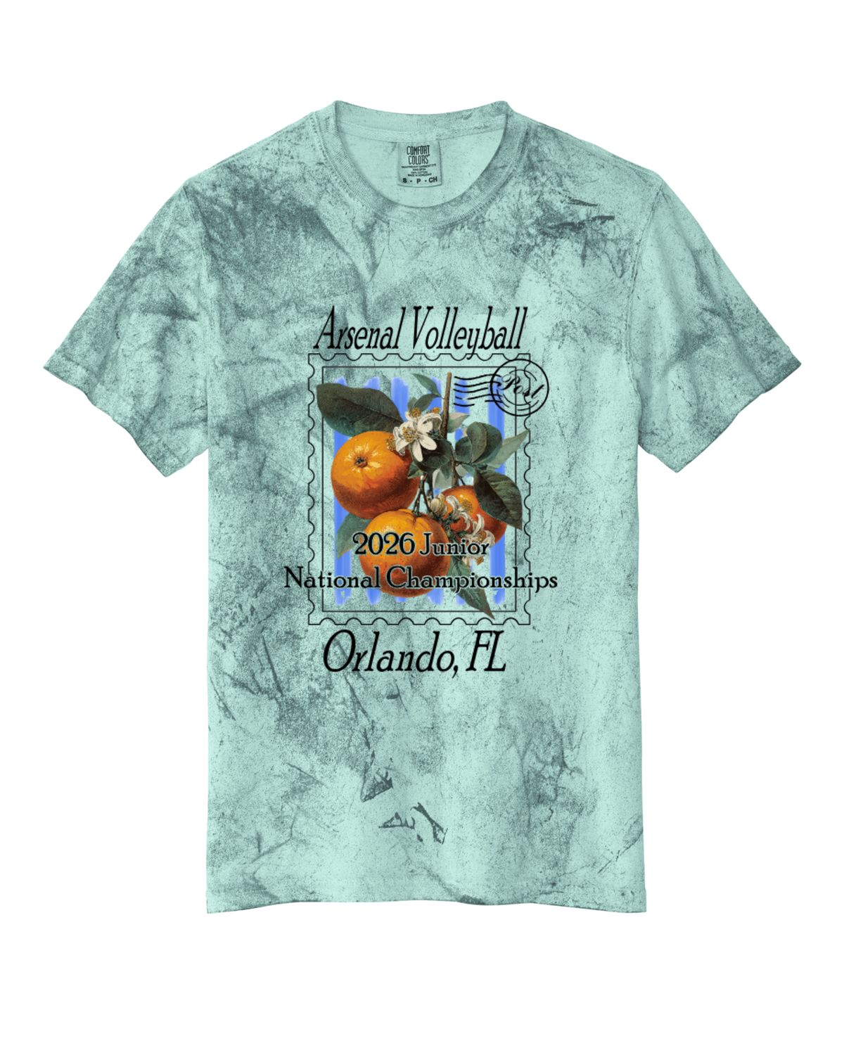 Adult AAU Relaxed Fit T-Shirt (Seaglass)
