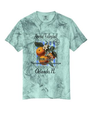 Adult AAU Relaxed Fit T-Shirt (Seaglass)