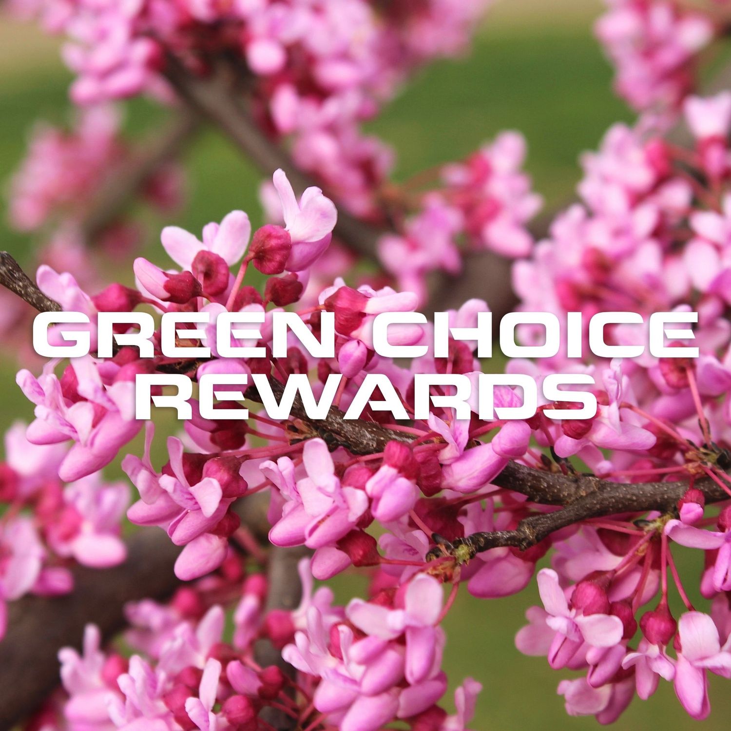 Green Choice Rewards Subscription