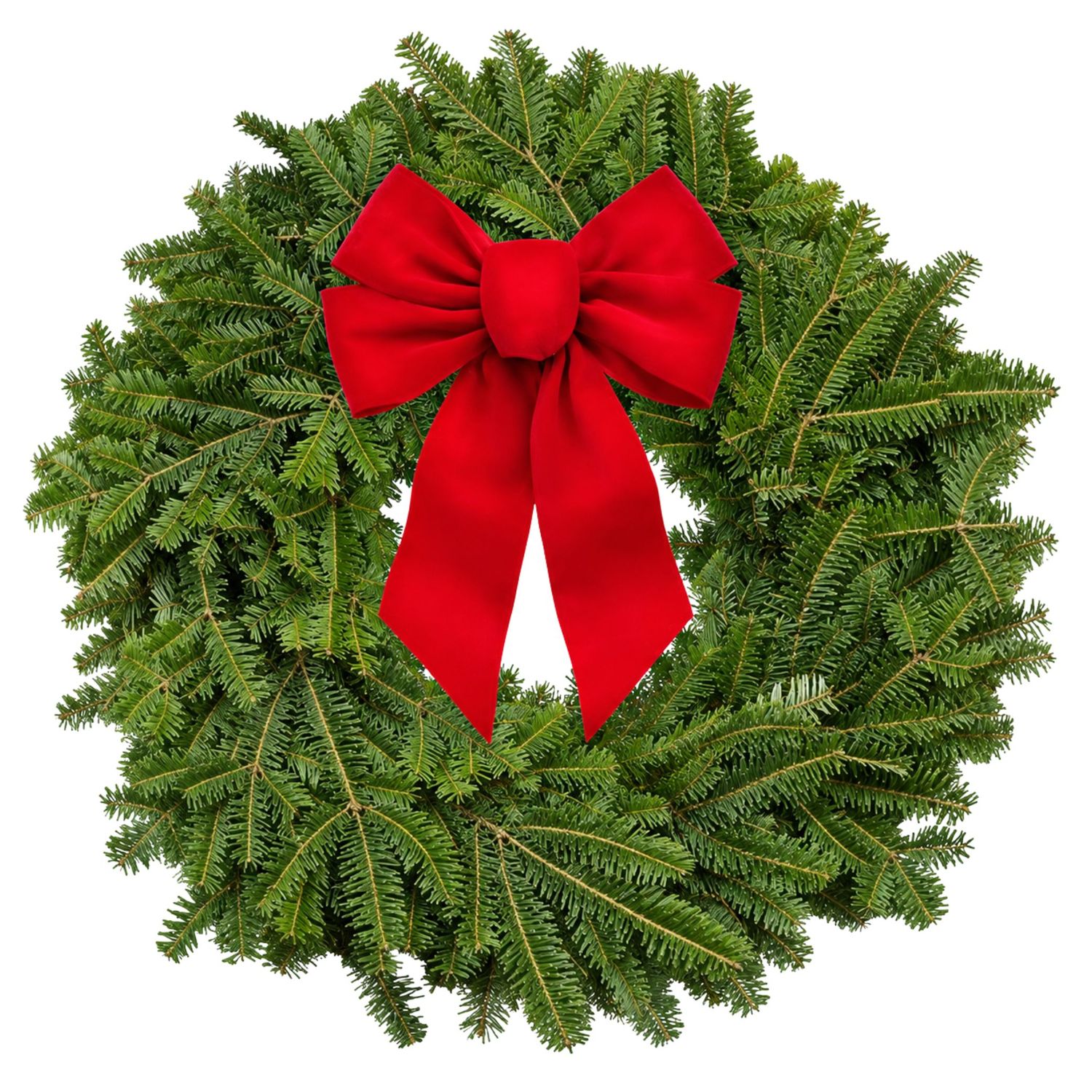 Sioux Falls CASA Balsam Wreath Fundraiser