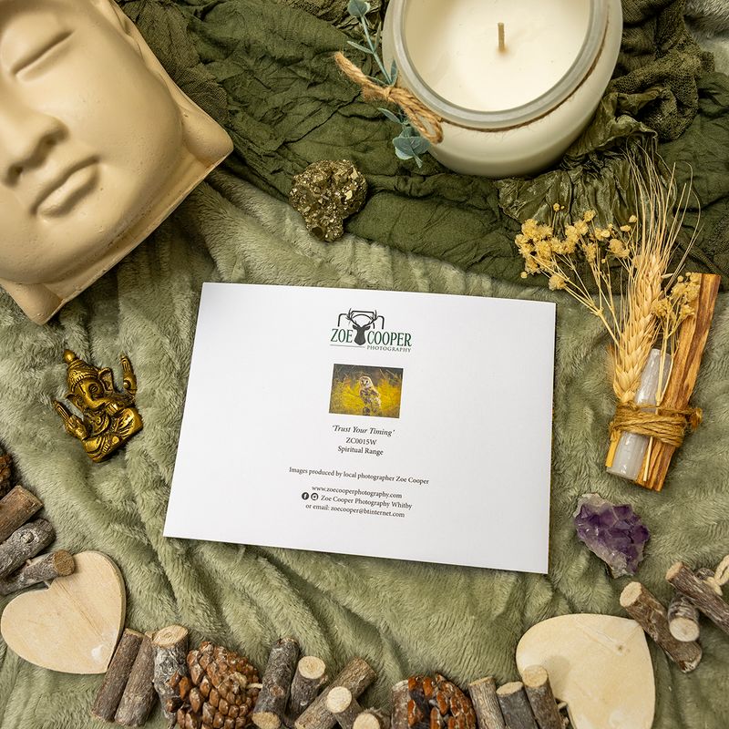 Spiritual Range - Trust Your Timing - Card with Envelope
