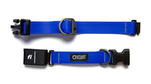 Fi Series 3+ Collar