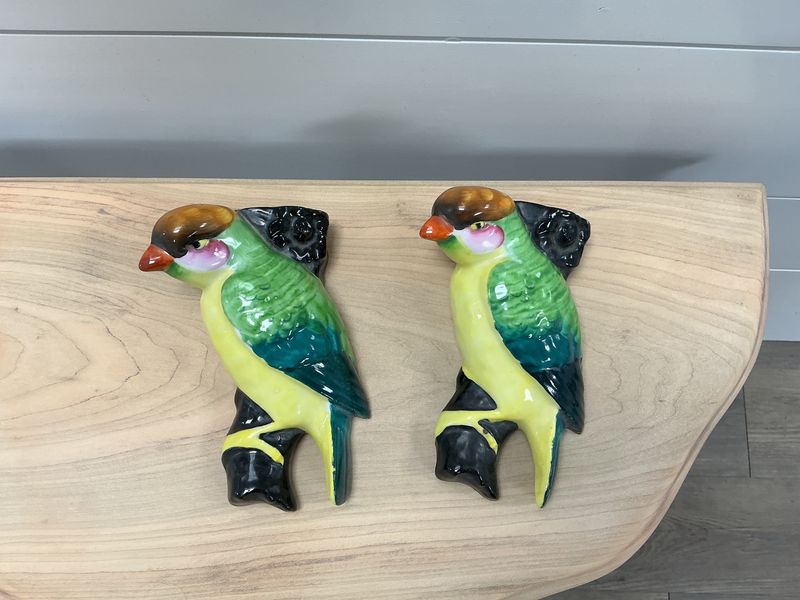 Pair Parrot Planters