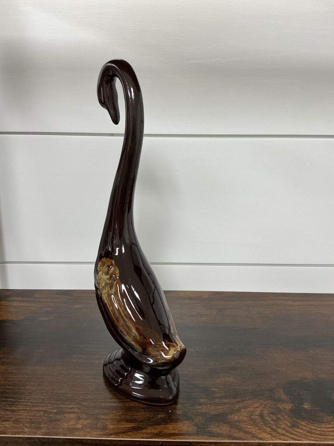 swan