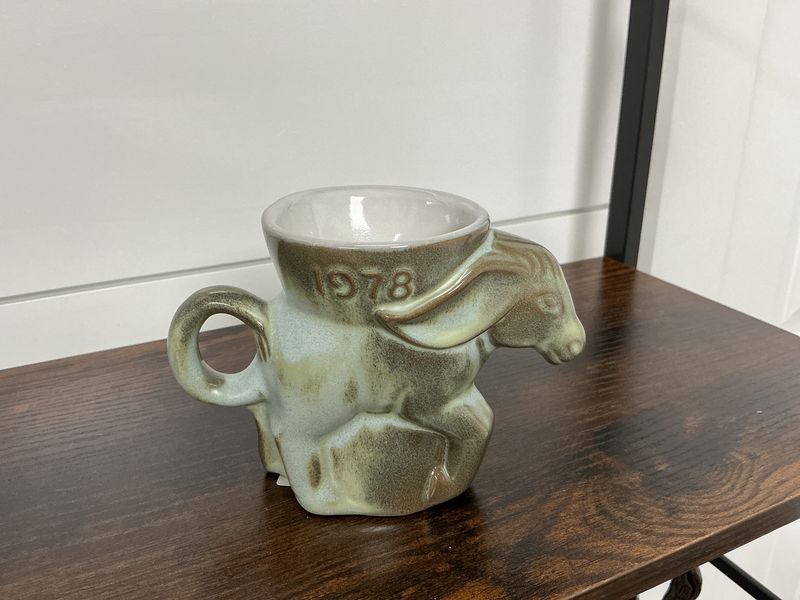 1978 Democrat Mug