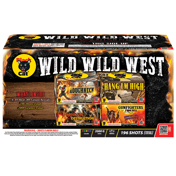 Wild Wild West
