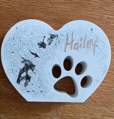 Erinnerungspfote stehend Hailey
