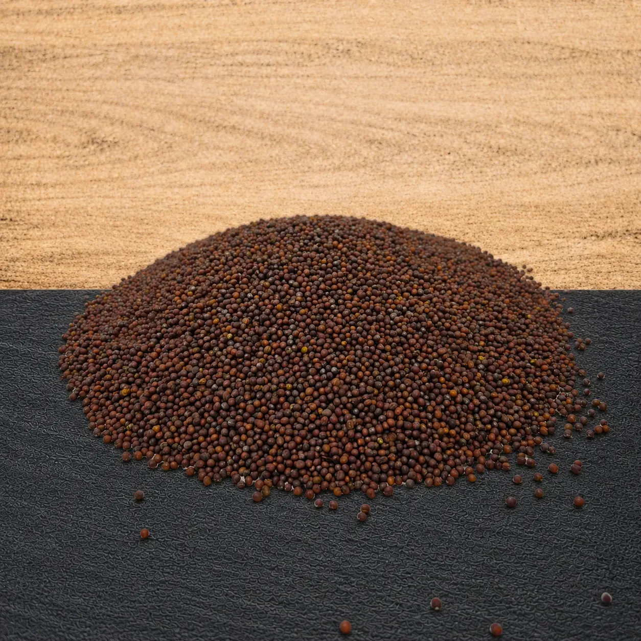 Senfkörner dunkel (schwarz/braun) 100 g Senfkörner dunkel (schwarz/braun) 100 g