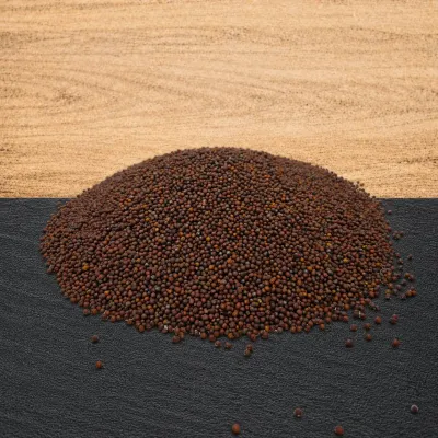 Senfkörner dunkel (schwarz/braun) 100 g Senfkörner dunkel (schwarz/braun) 100 g