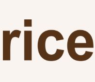 Rice