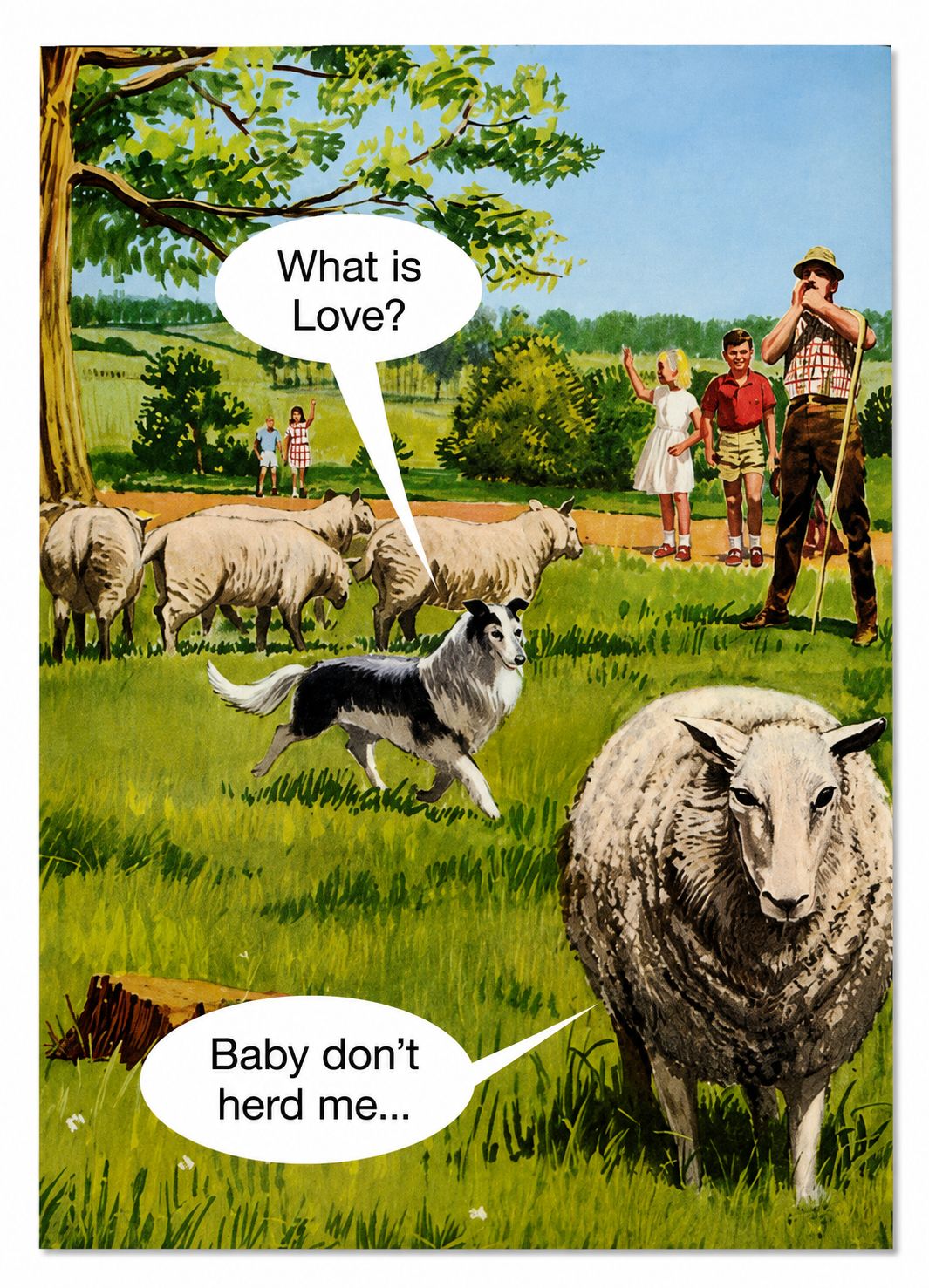 Baby Don’t Herd Me Card
