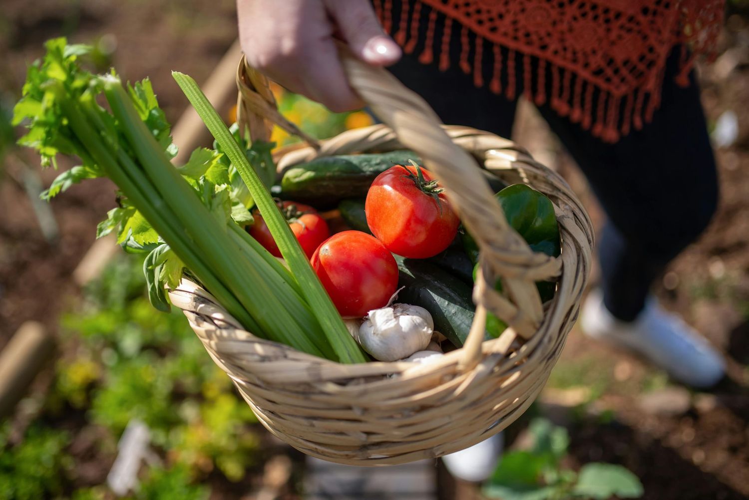 Seasonal Veggie Harvest Basket