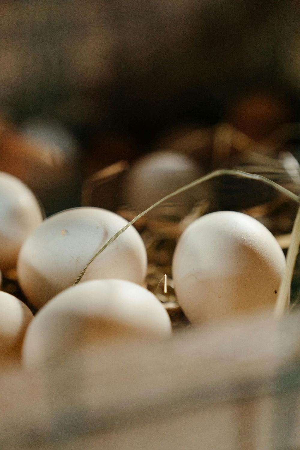 Pasture-Raised Heritage Eggs