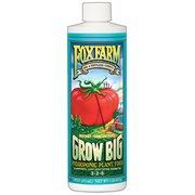 Grow Big Liquid Concentrate, 1 qt