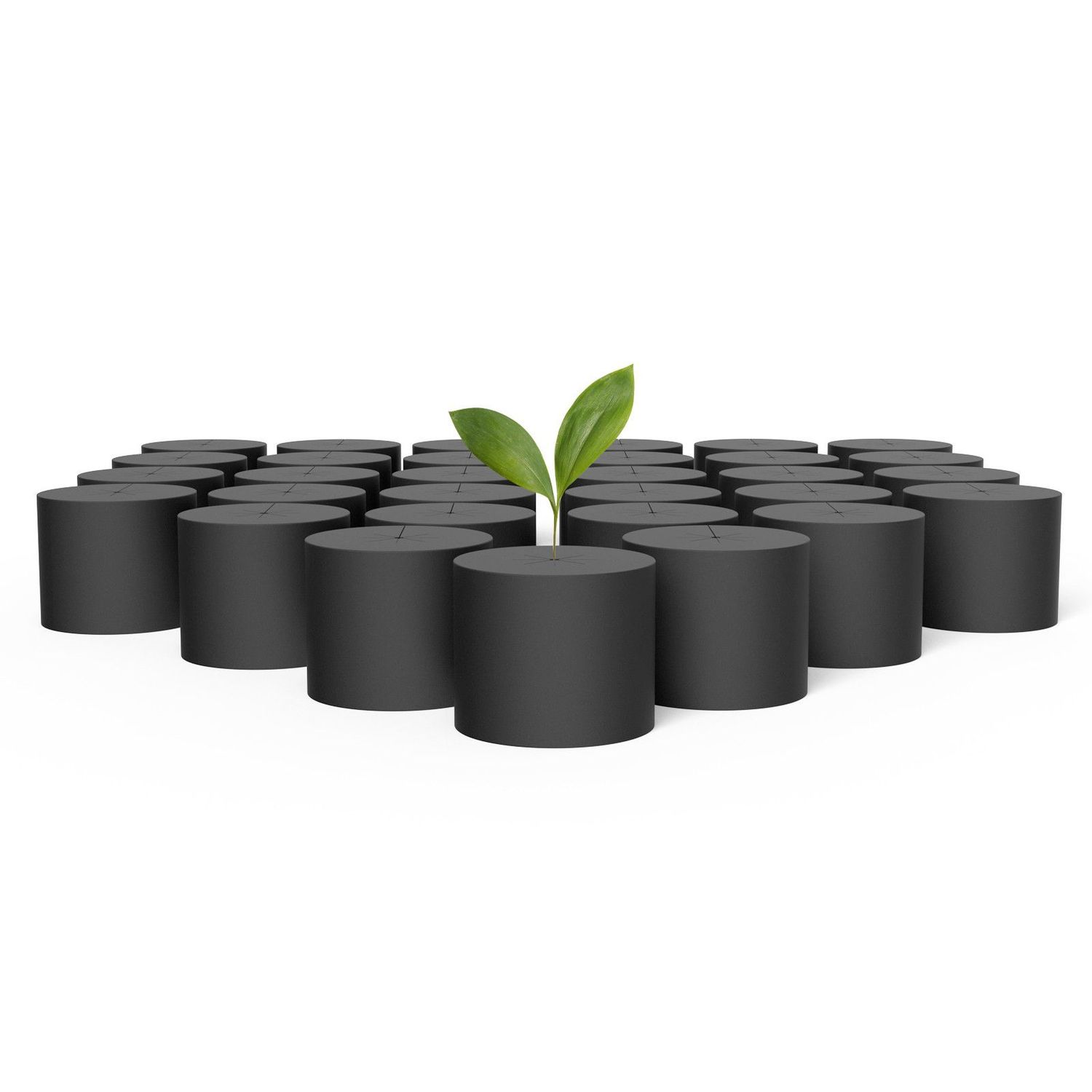 Clone Collars, Disc Inserts with 8-Spoke Design, 3-Inch, 50-Pack