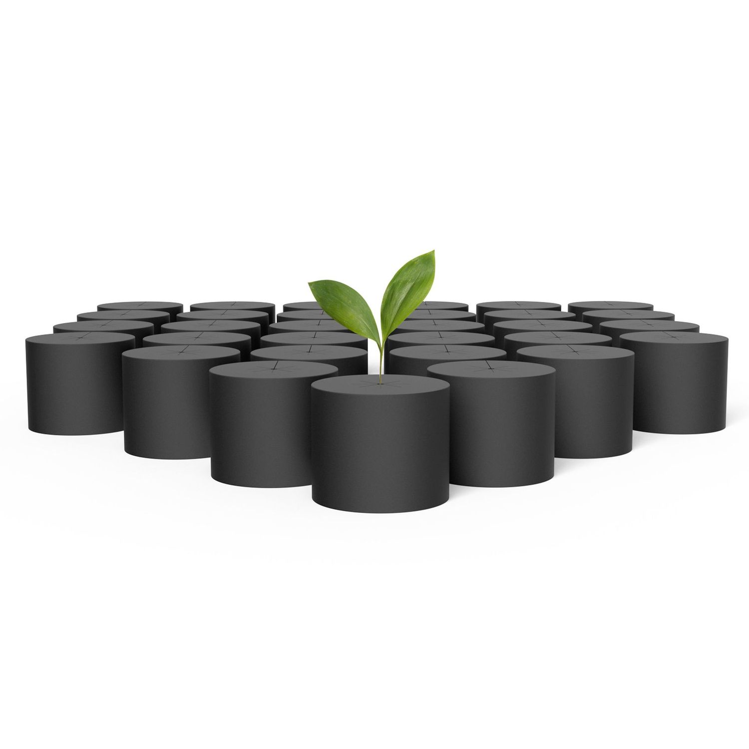 Clone Collars, Disc Inserts with 8-Spoke Design, 2-Inch, 100-Pack