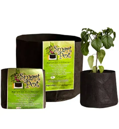 Smart Pot, 100 gal, 38" x 20"