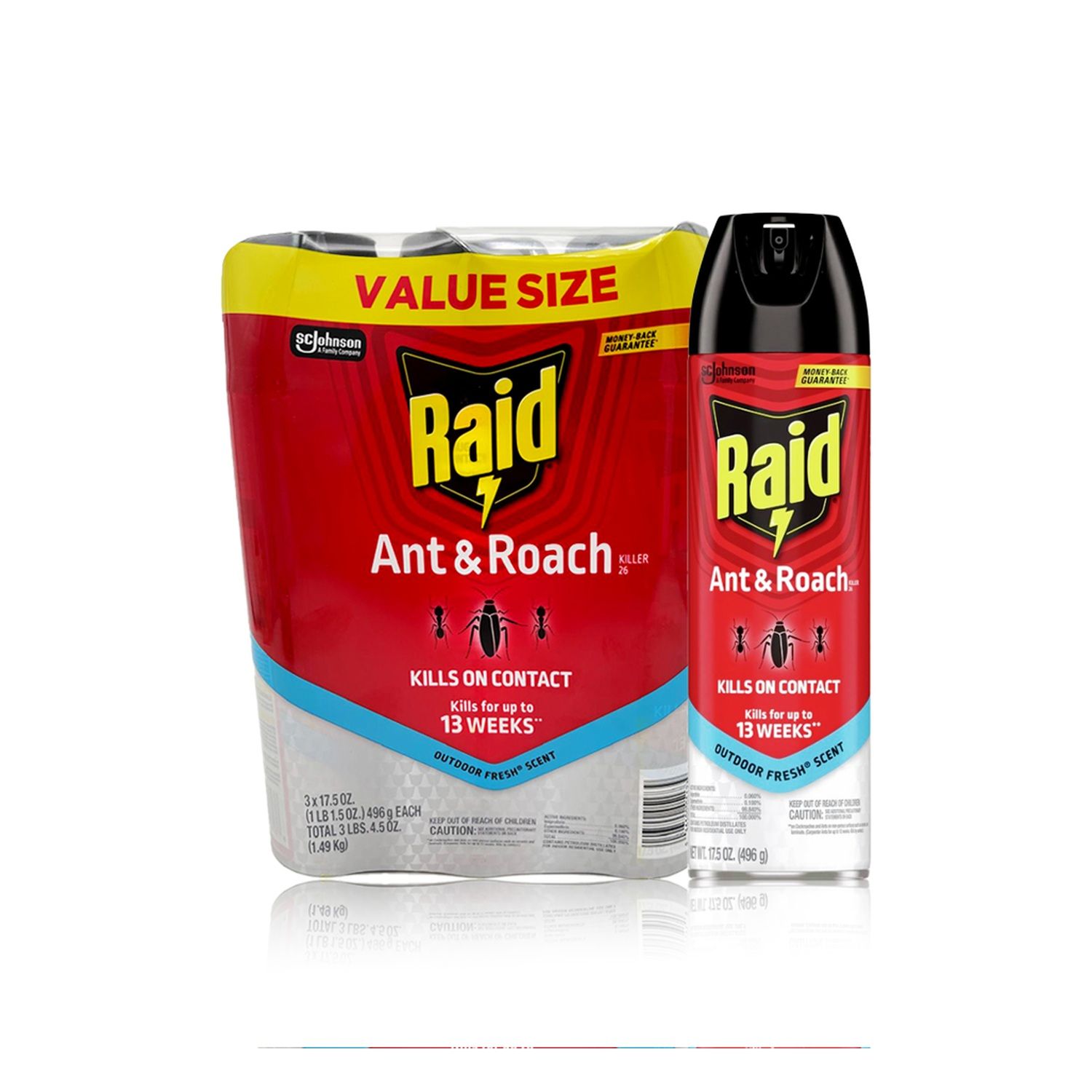 3ct 17.5oz Raid Ant &amp; Roach Killer- Outdoor Fresh (8/cs)