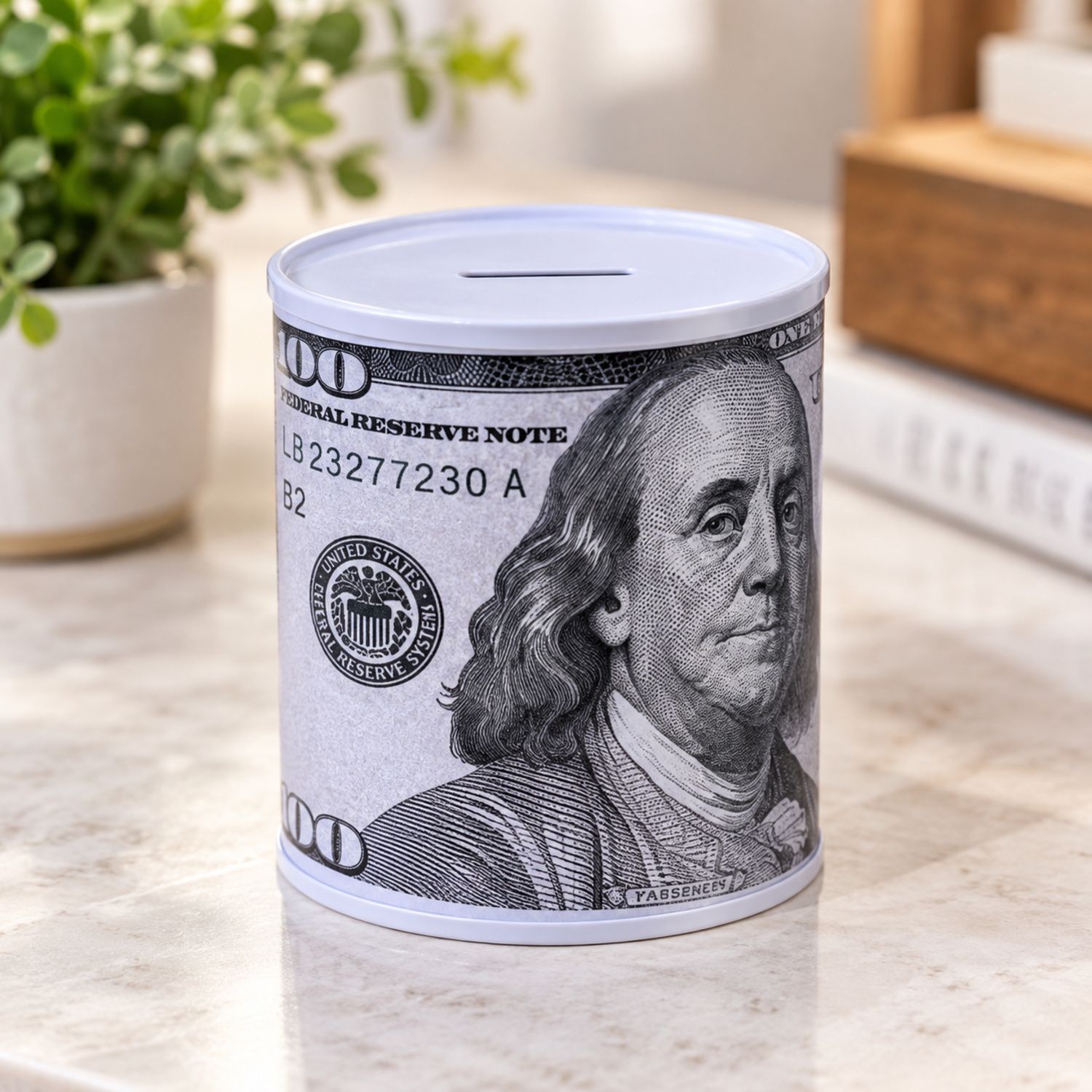 Dollar Can 7.5 x 10.5 cm {BK-5030} (200/cs)