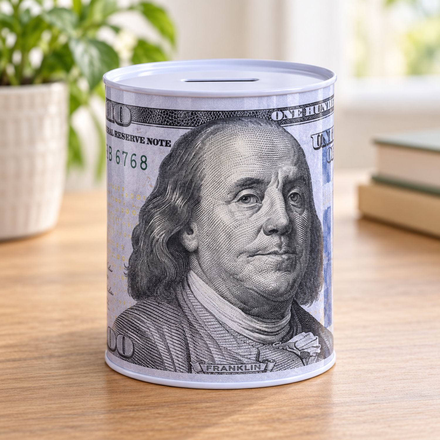 Dollar Can 9.5 x 12.5 cm {BK-5010} (100/cs)