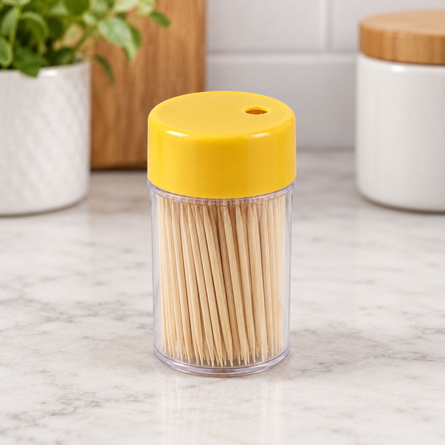ToothPick {NVA-123} (12/cs)