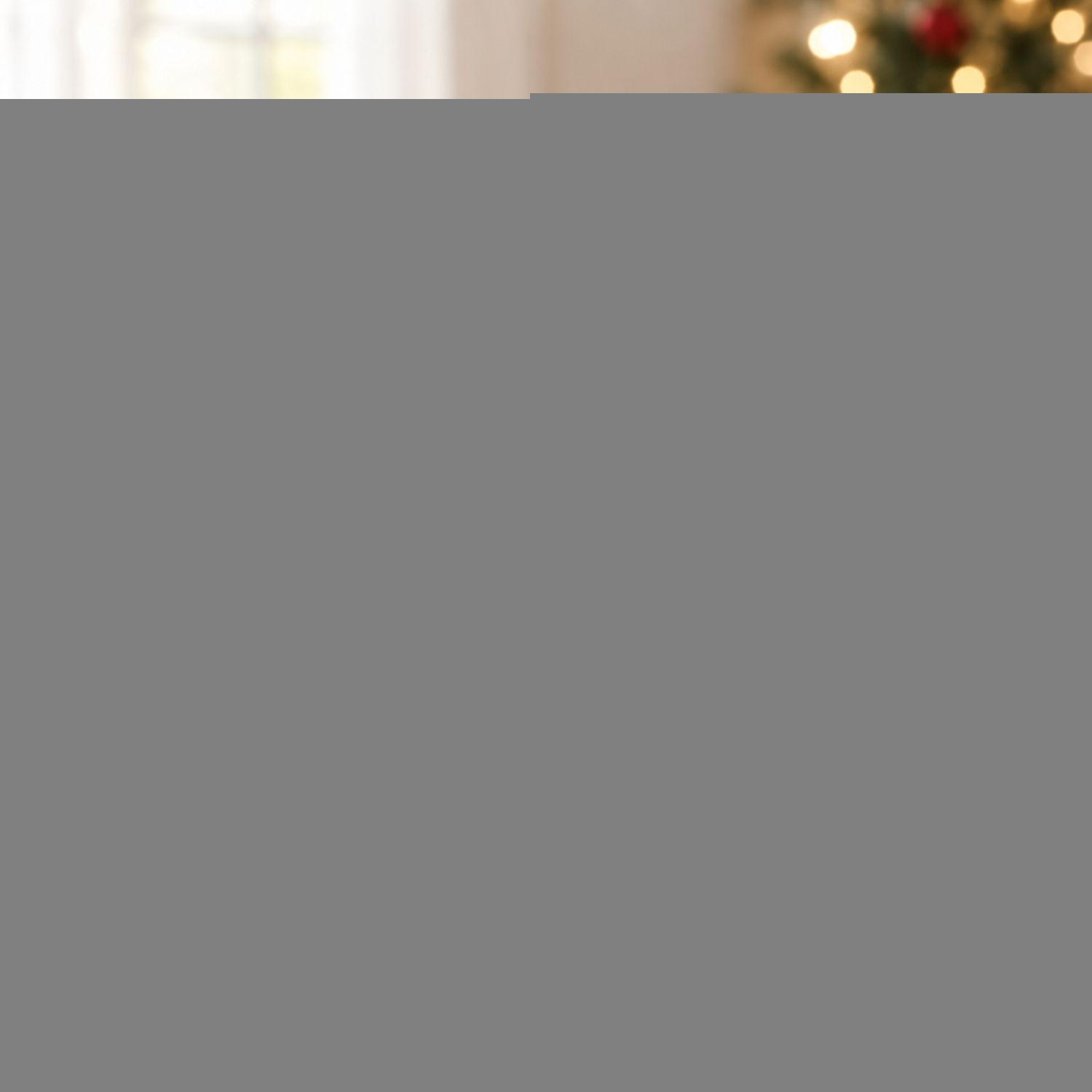 Clear Christmas Gift Bag Medium Size {HL-2025M} (600/cs)