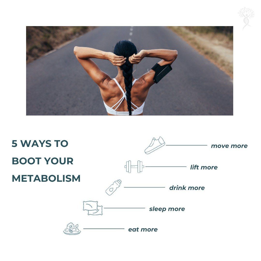 Metabolism &amp; Nutrition Blueprint