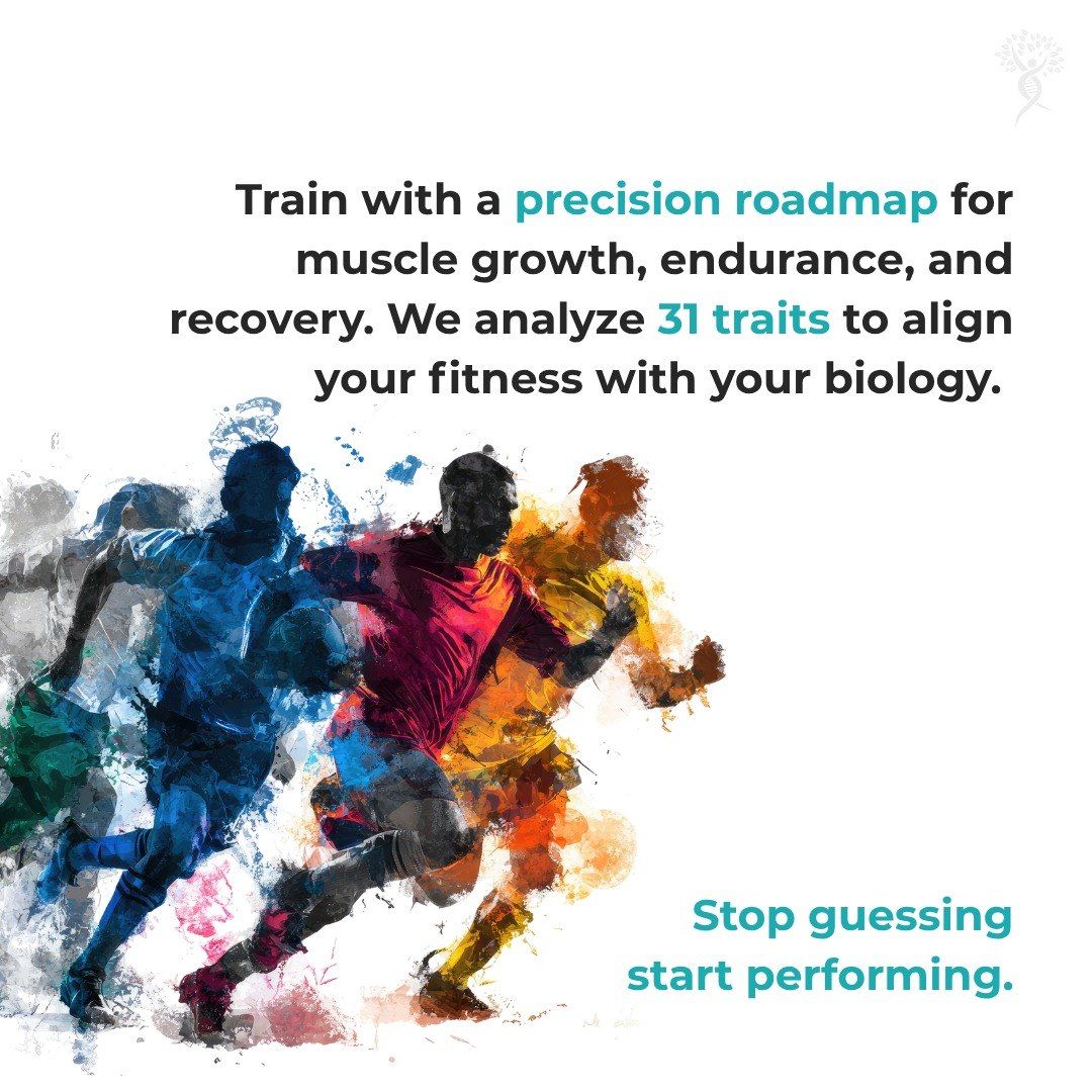 Fitness &amp; Recovery Blueprint