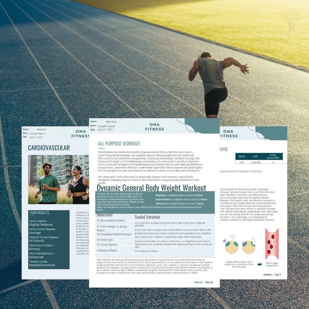 DNA BLUEPRINT