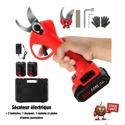 Sécateur électrique sans fil + 2 batteries