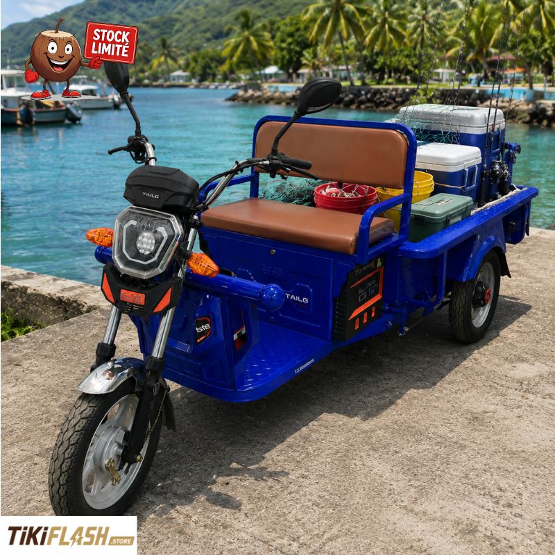 Tri-porteur électrique TAILG 60V