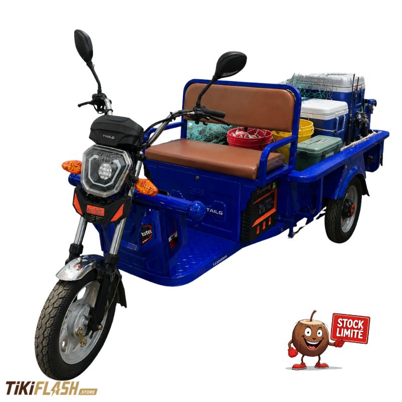 Tri-porteur électrique TAILG 60V