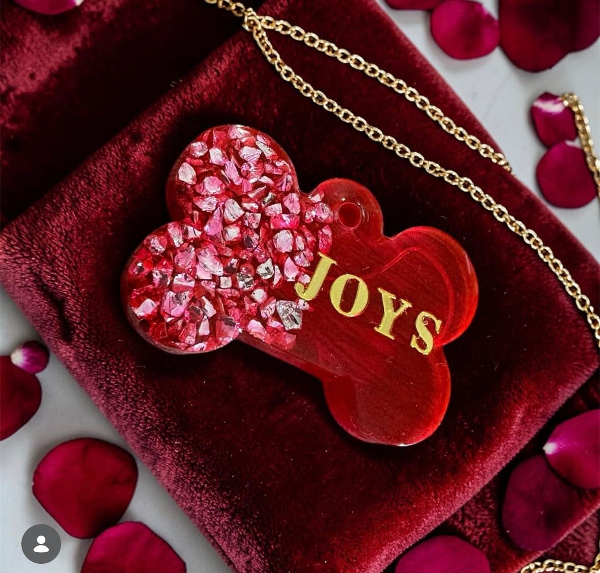 Médaille pour chien en forme d’os – personnalisée et sécurisante