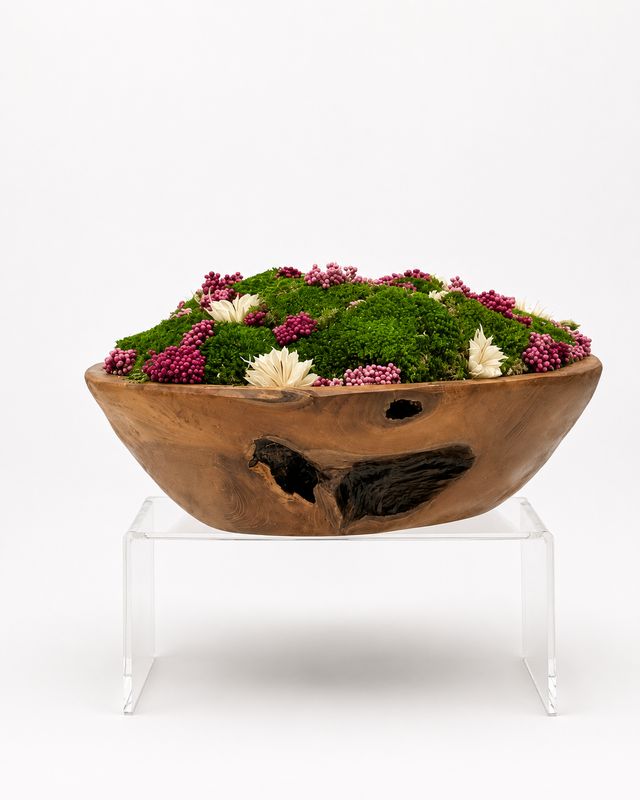 Artisan Moss Bowls