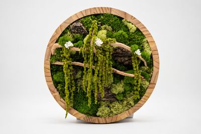 Circular Frames