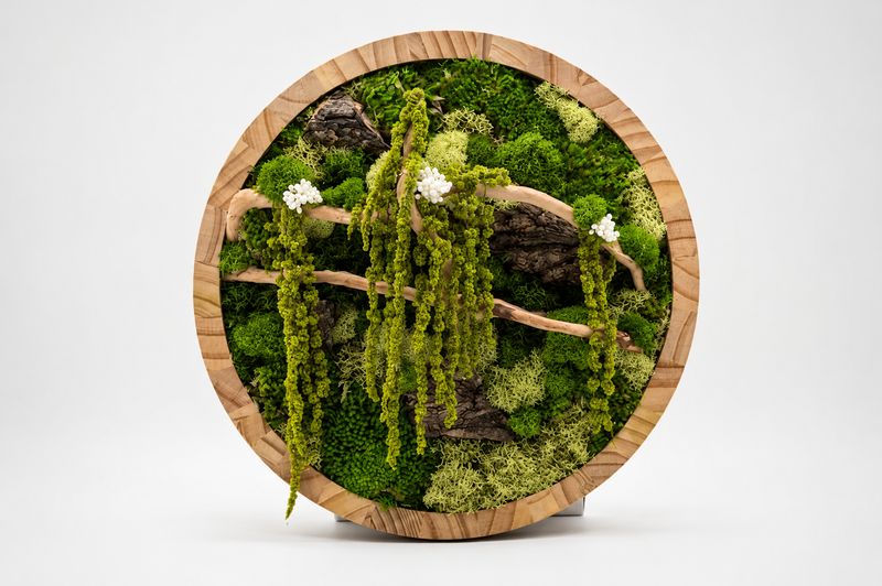 Circular Frames