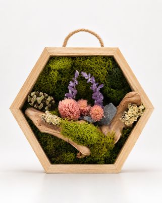 Hexagon Frame