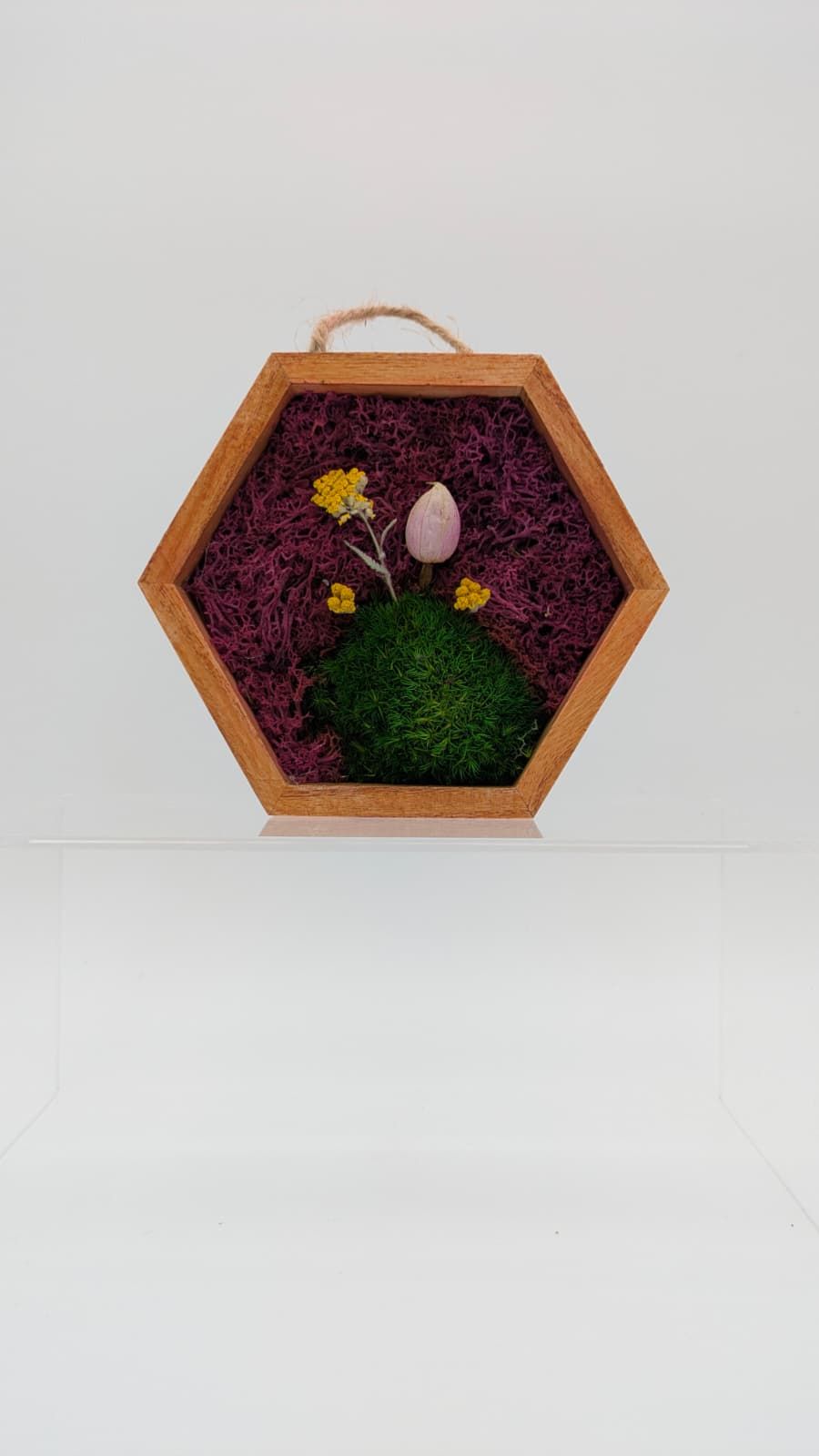 Meadow Accent