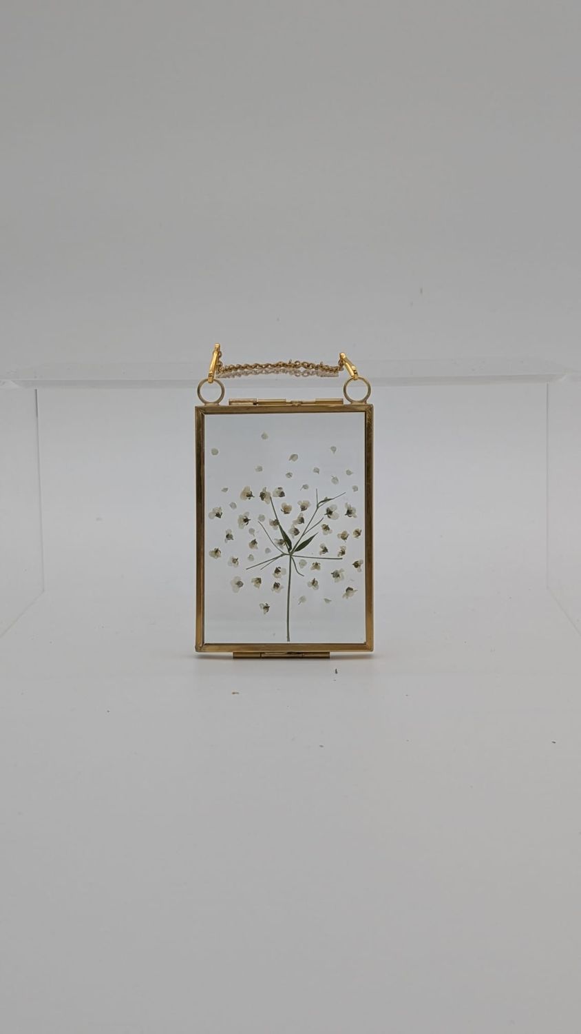 Pressed Bloom I